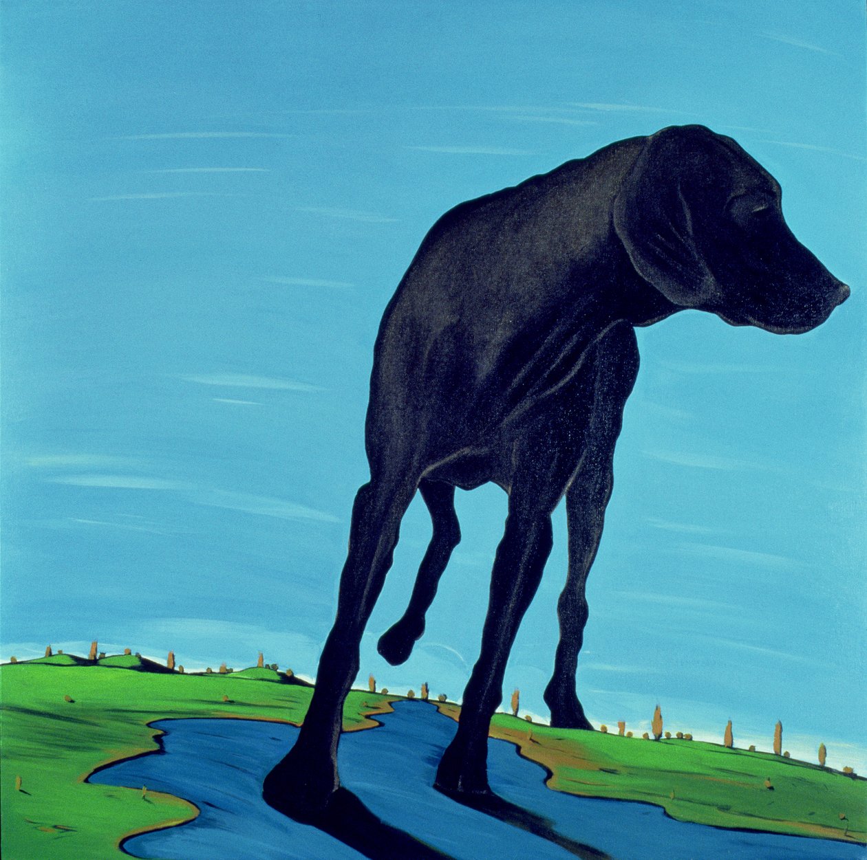 Le chien noir de Joe (nouvelle vue) - Marjorie Weiss