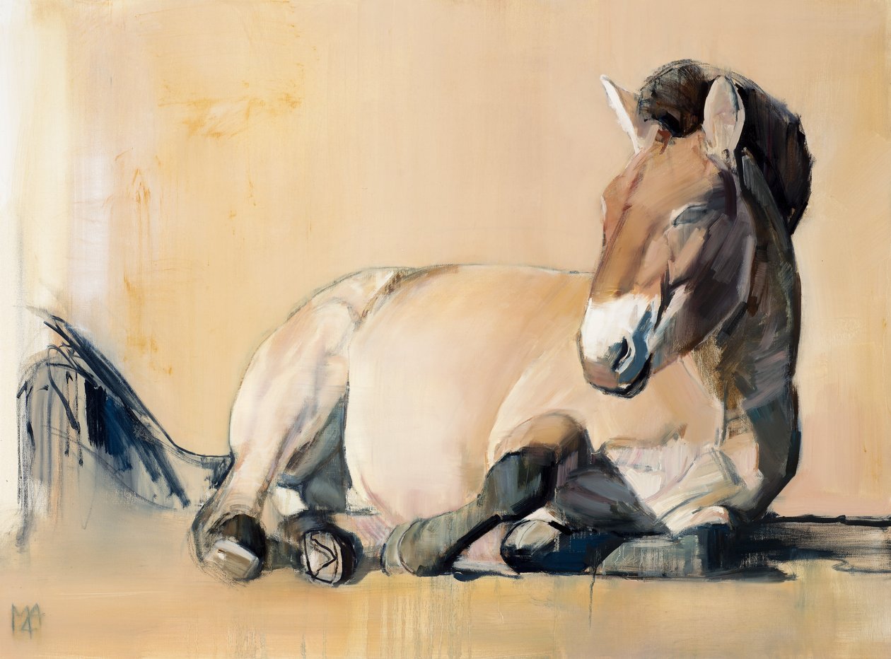 Plateau Soleil (Przewalski), 2014 - Mark Adlington