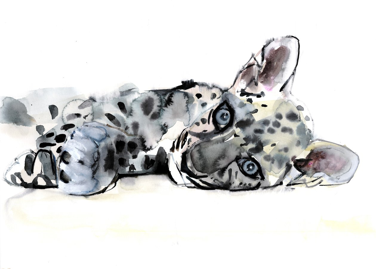 Jeune léopard arabe, 2008 - Mark Adlington