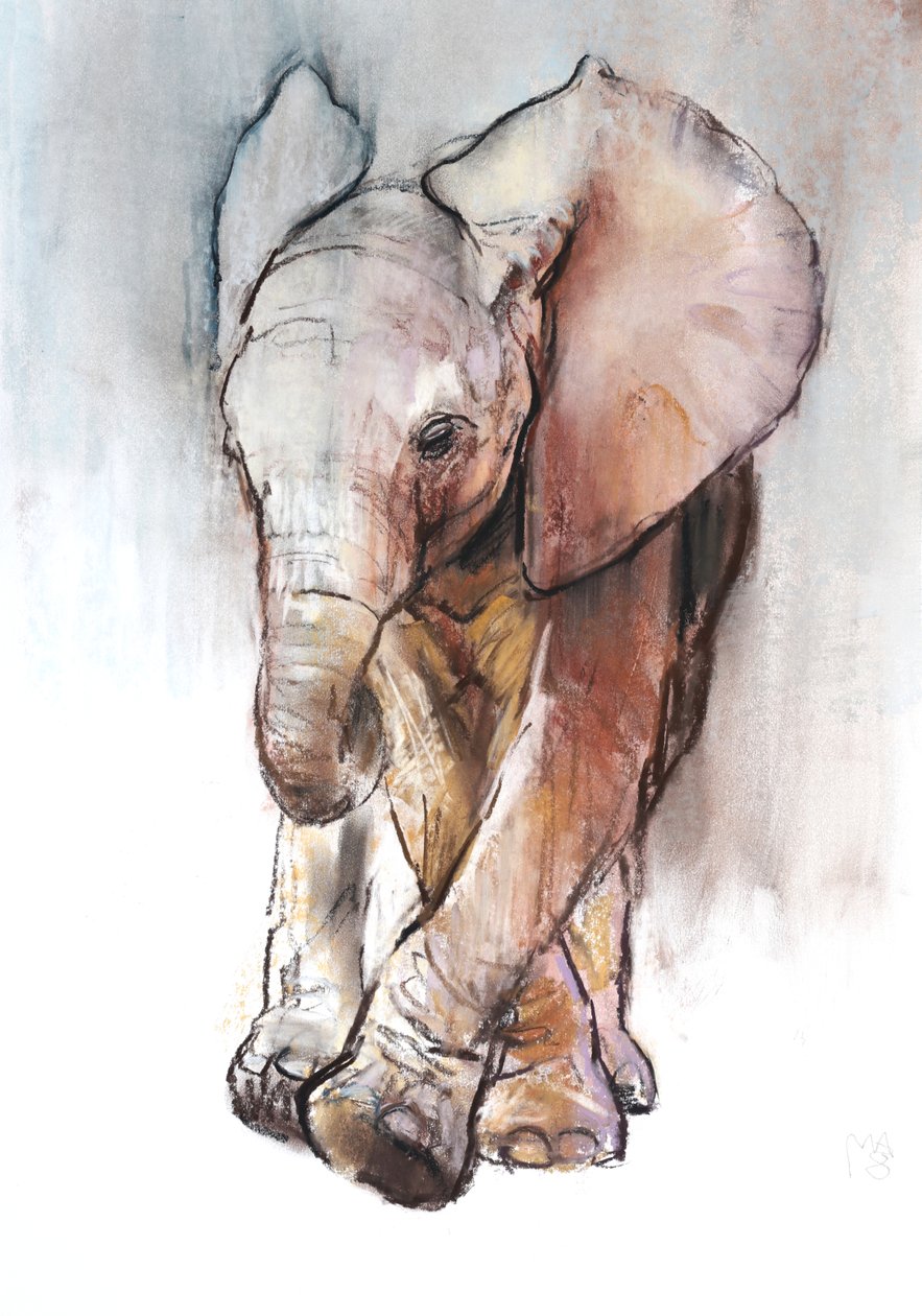 Bébé éléphant 2, Loisaba, 2018 - Mark Adlington