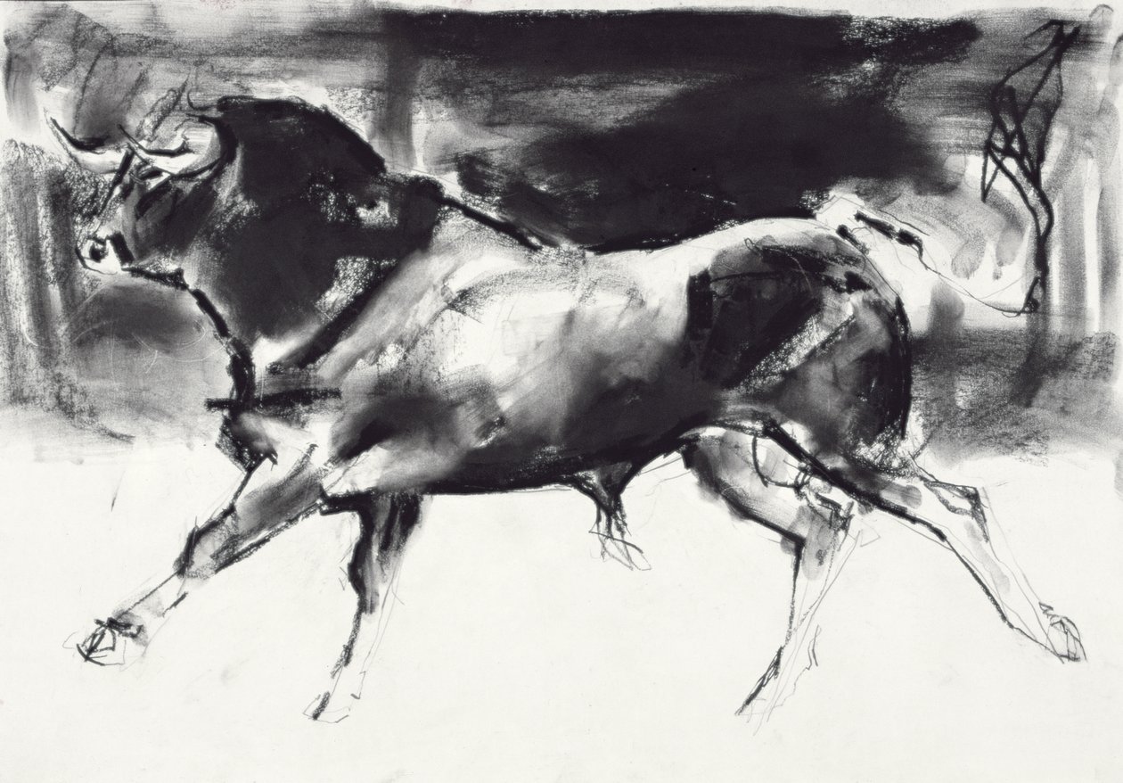 Taureau noir - Mark Adlington