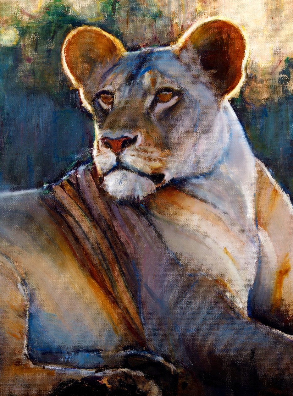 Aube de Chyulu (détail) - Mark Adlington