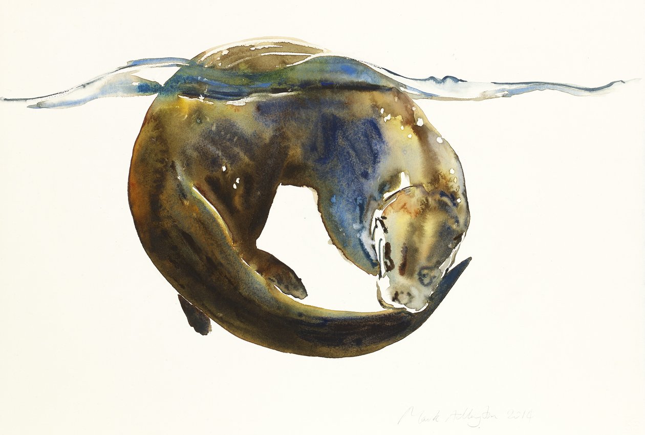 Cercle de la vie, 2014 - Mark Adlington