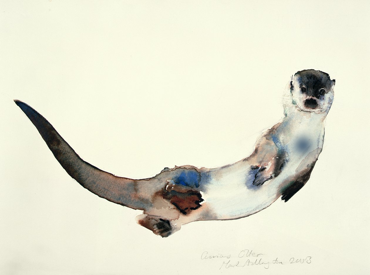 Loutre Curieuse, 2003 - Mark Adlington