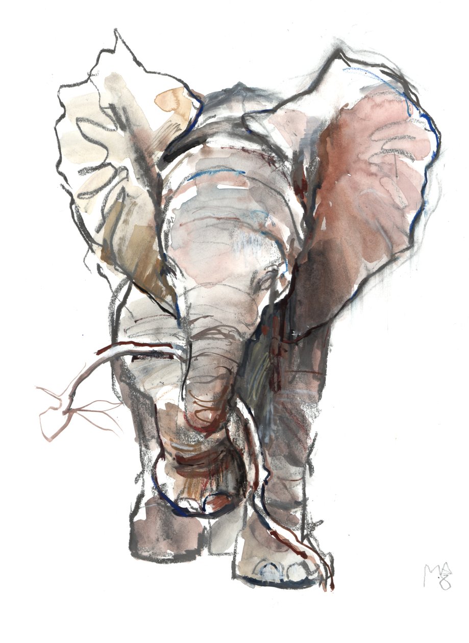 Dumbo, 2018 - Mark Adlington