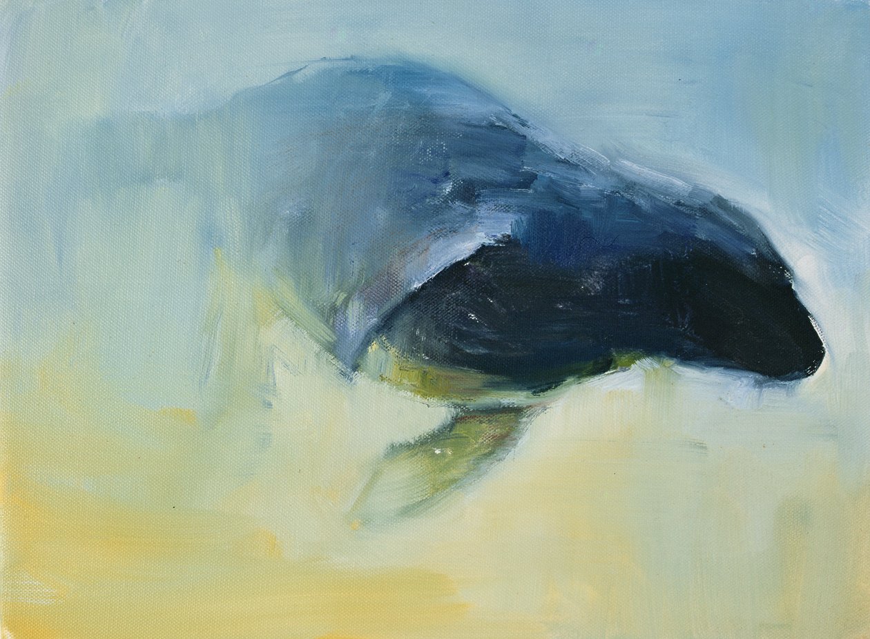 Émergence, 2003 - Mark Adlington