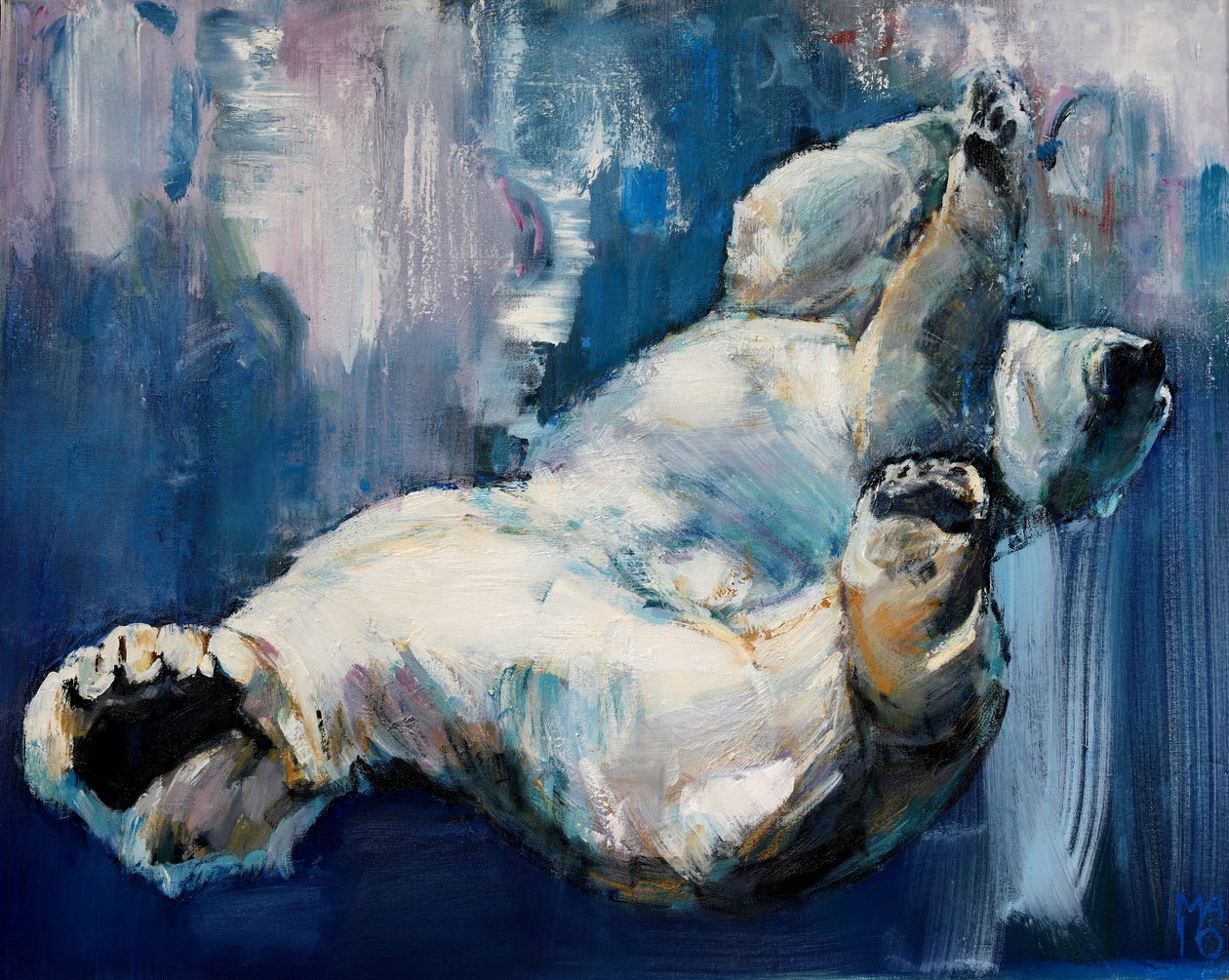 Chute - Mark Adlington