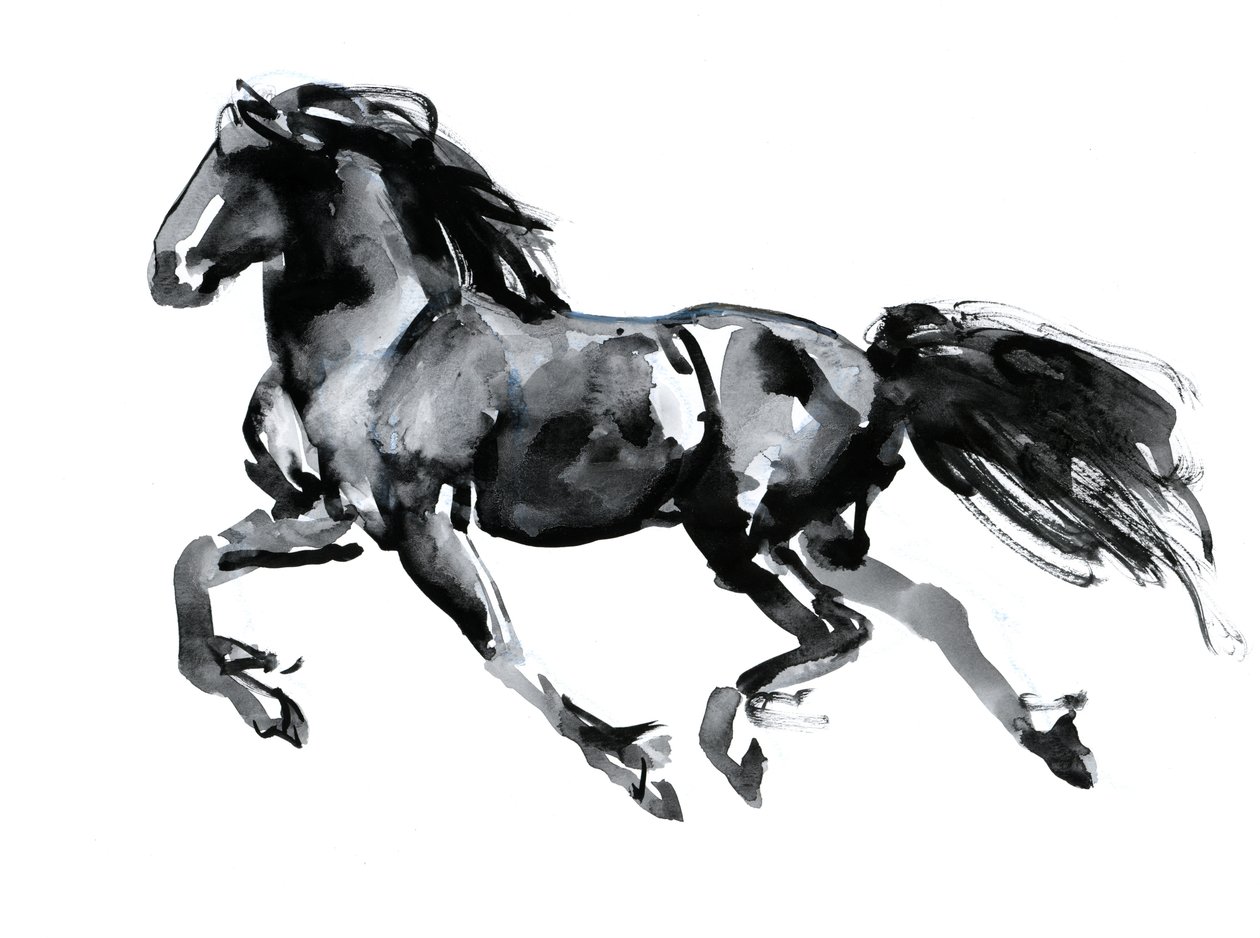 Frison volant, 2015 - Mark Adlington