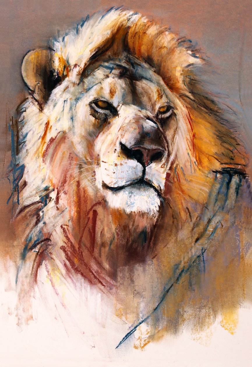 Lion Gemsbok - Mark Adlington