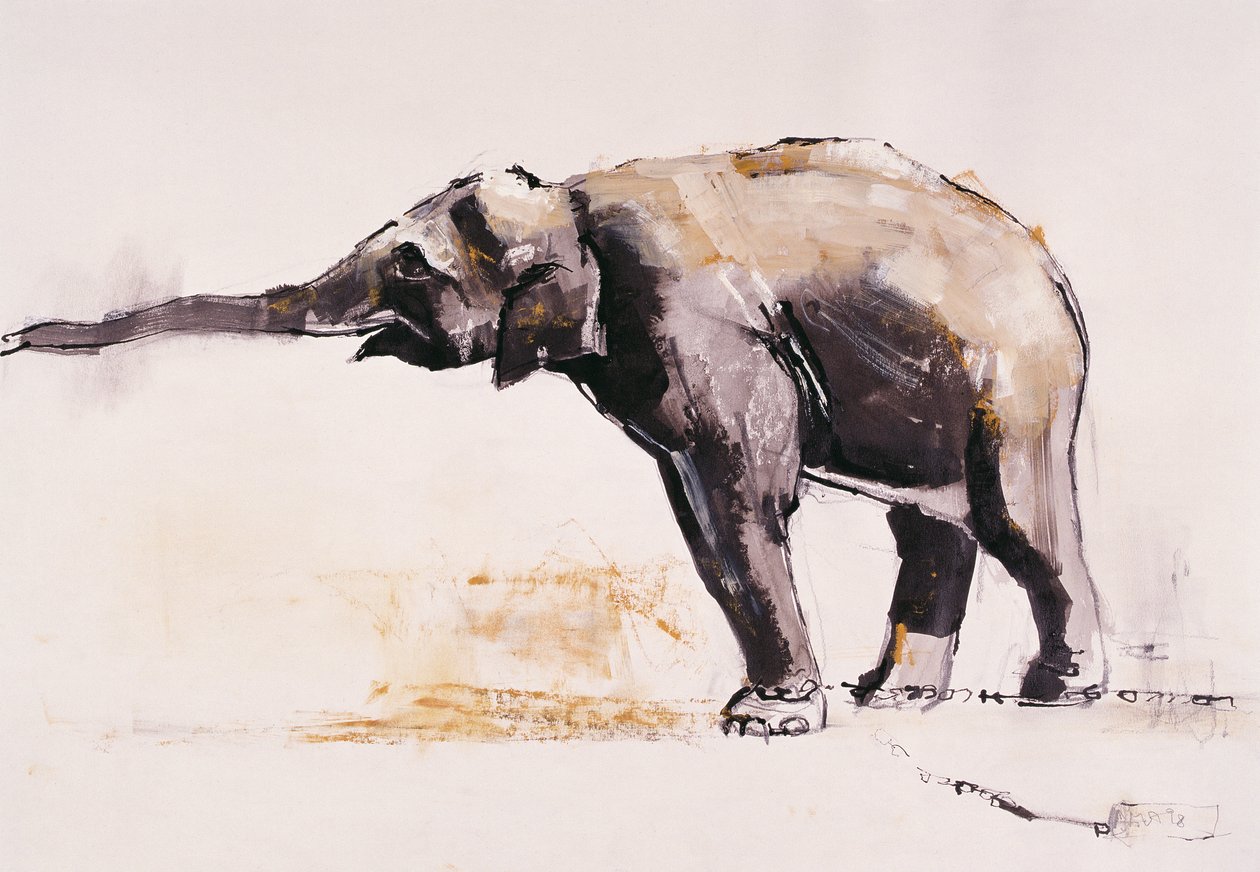 Éléphant indien, Khana - Mark Adlington