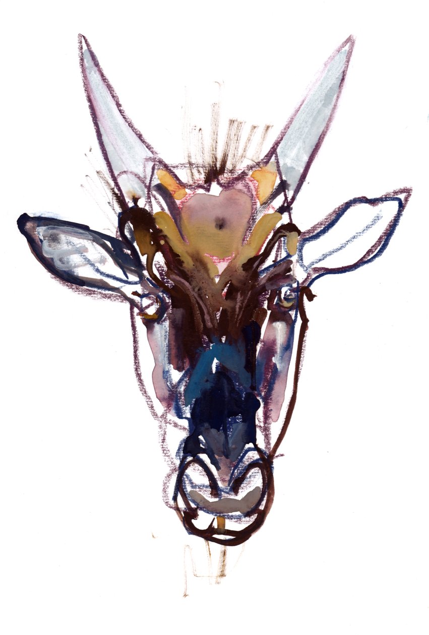 Petit Diable (gnou), 2022 - Mark Adlington