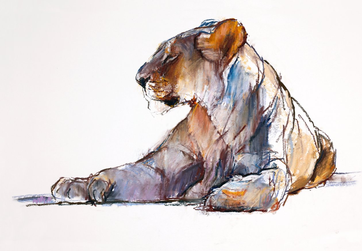 Matin - Mark Adlington