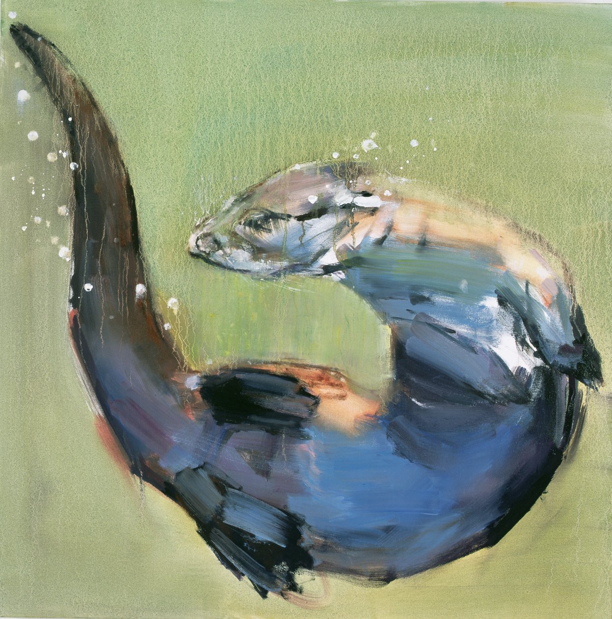 Loutre, 2003 - Mark Adlington