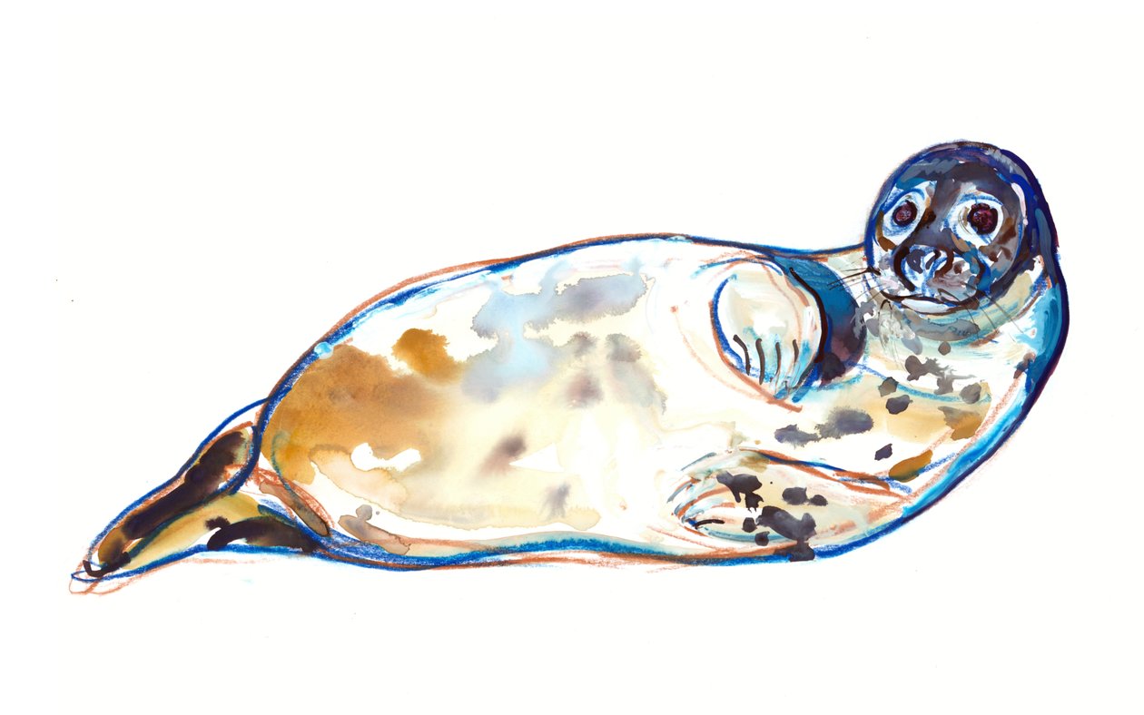 Senseal, 2022 - Mark Adlington