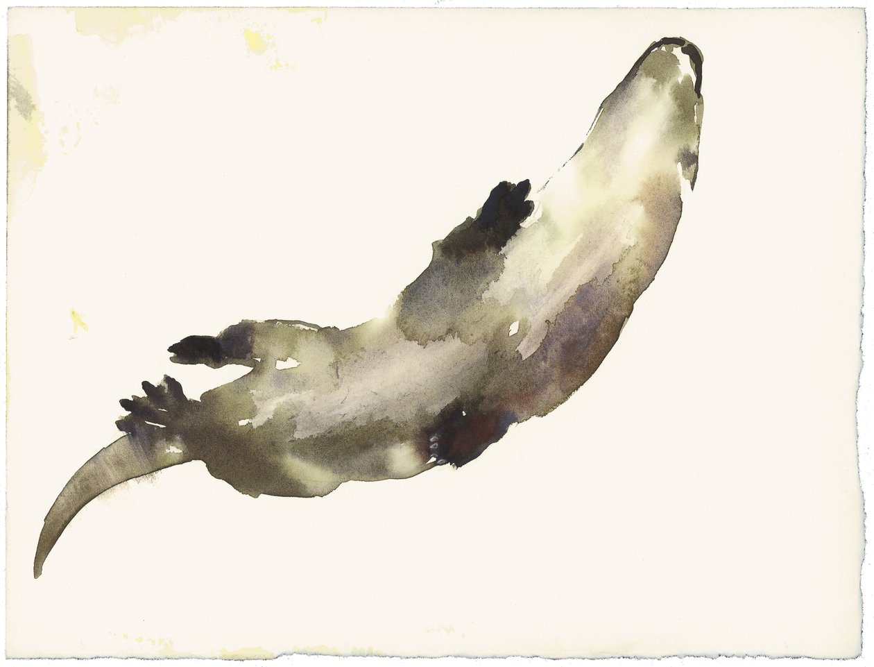 Nager au-dessus - Mark Adlington
