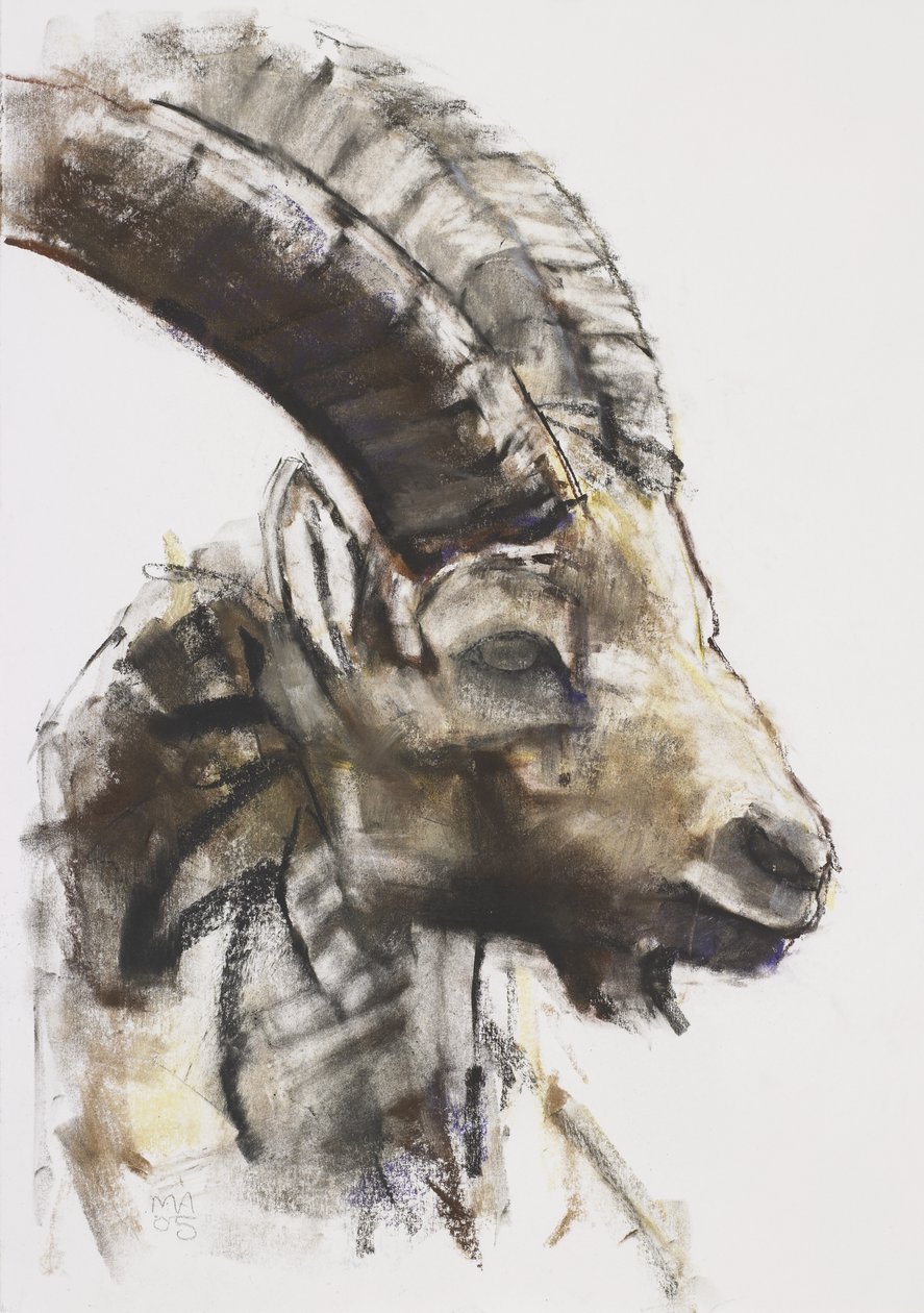 Testa, 2005 - Mark Adlington