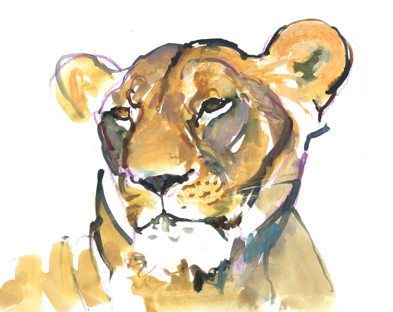 La lionne - Mark Adlington