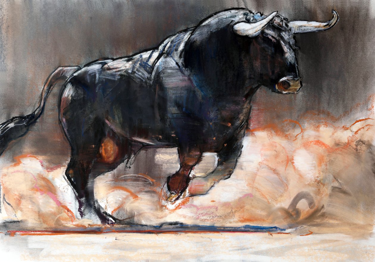 Toro Bravo - Mark Adlington