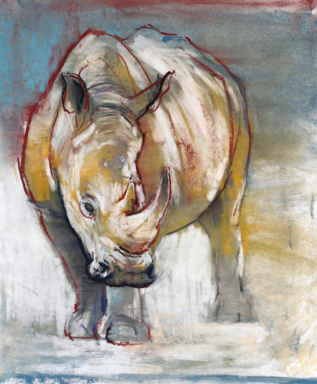 Rhinocéros blanc, Ol Pejeta, 2018 - Mark Adlington