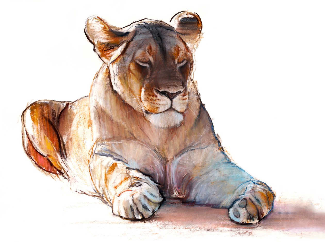 Lionne yogi, 2019 - Mark Adlington