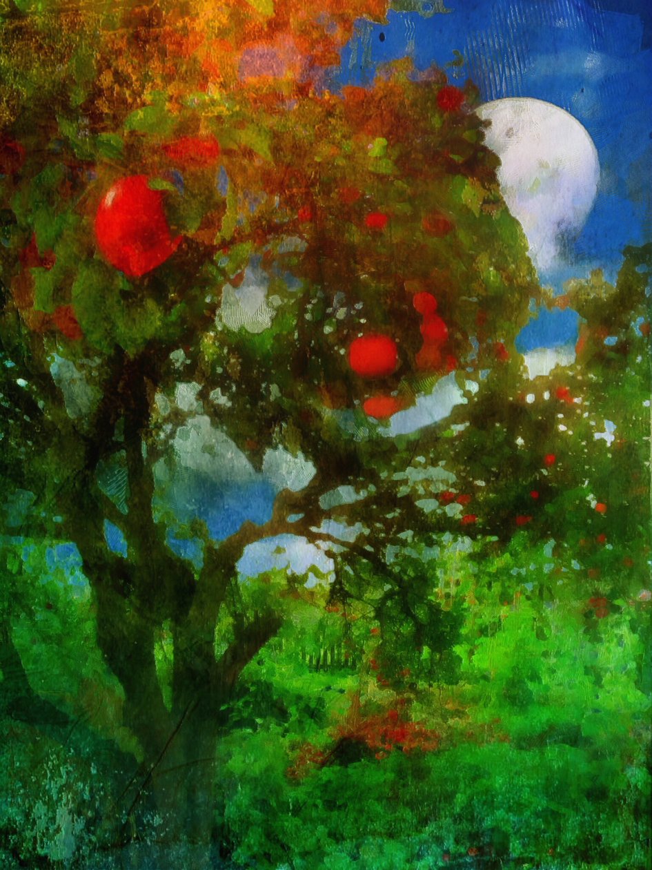 verger au clair de lune - Mark Gordon