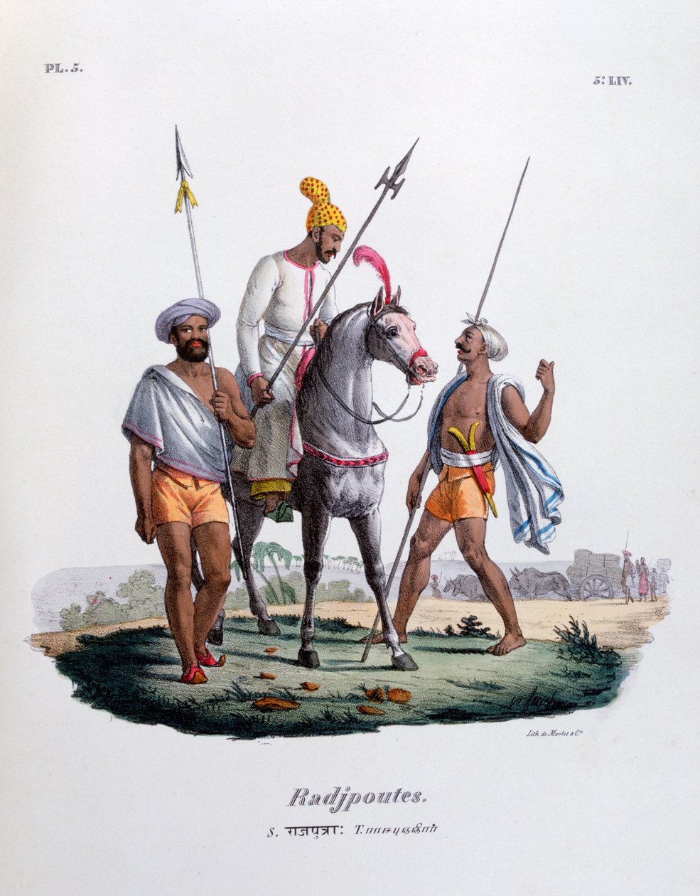 Rajputs - Marlet et Cie