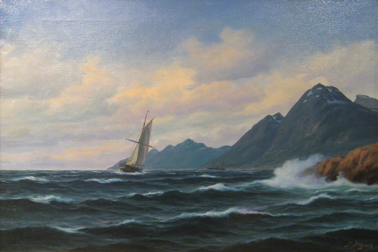 Paysage côtier - Martin Aagaard