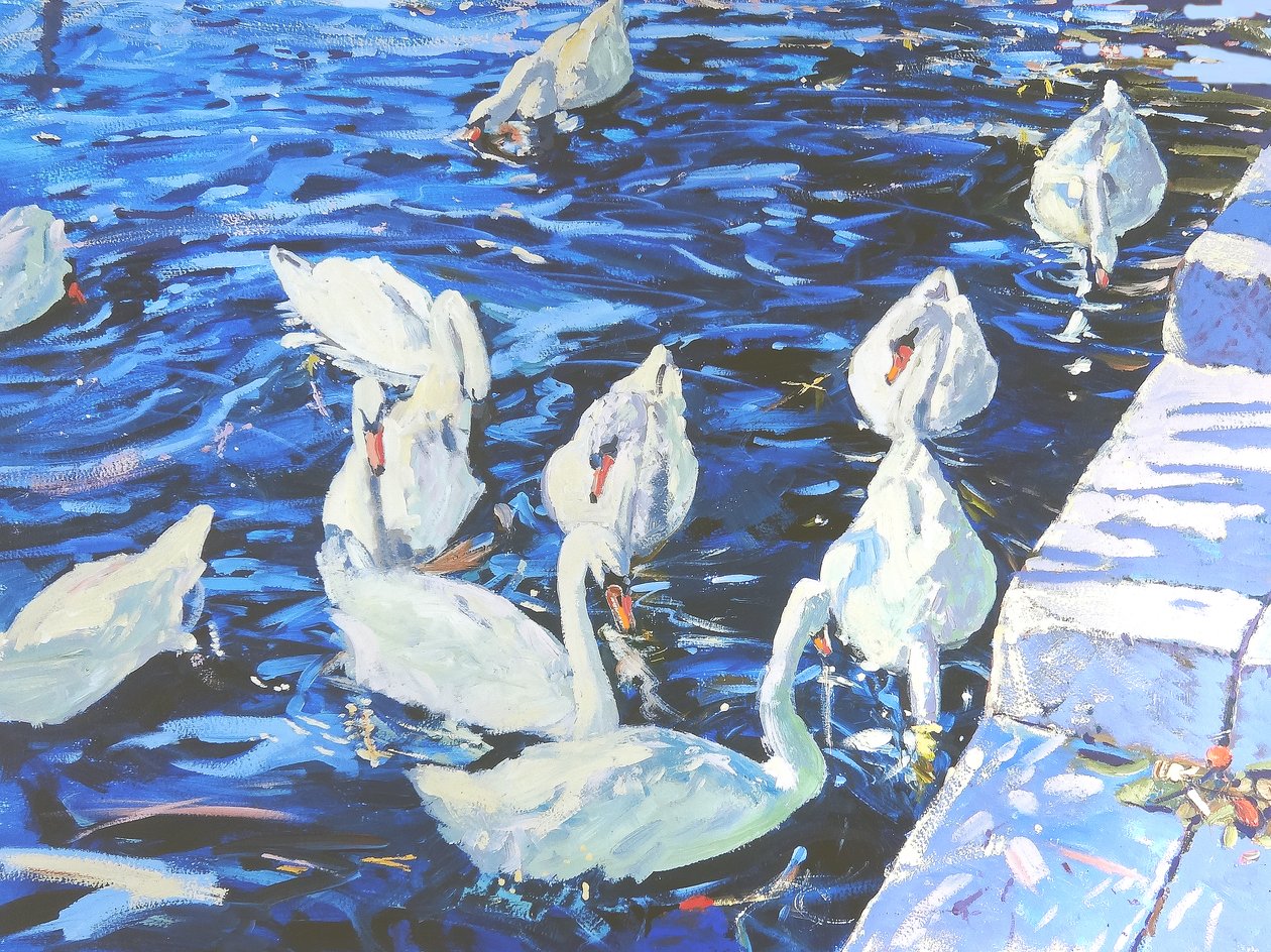 Cygnes, 2000 - Martin Decent