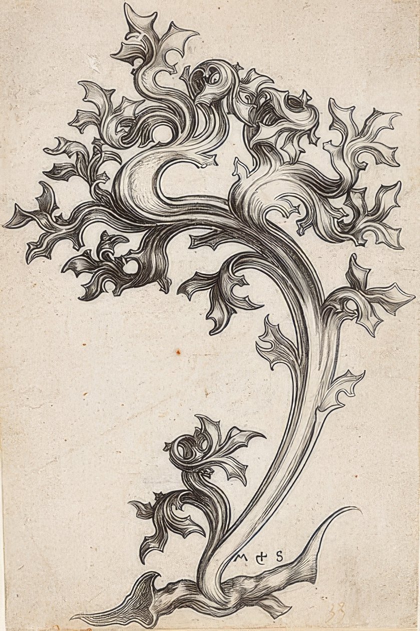 Ornement de feuille de chardon - Martin Schongauer
