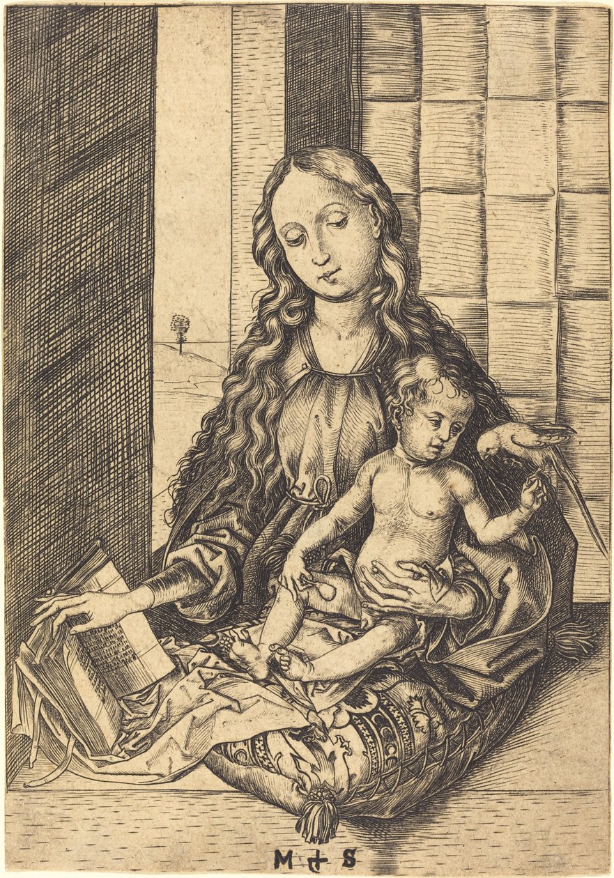 Madone avec un Perroquet - Martin Schongauer