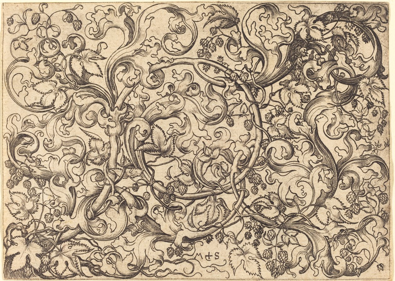 Ornement avec vigne de houblon - Martin Schongauer