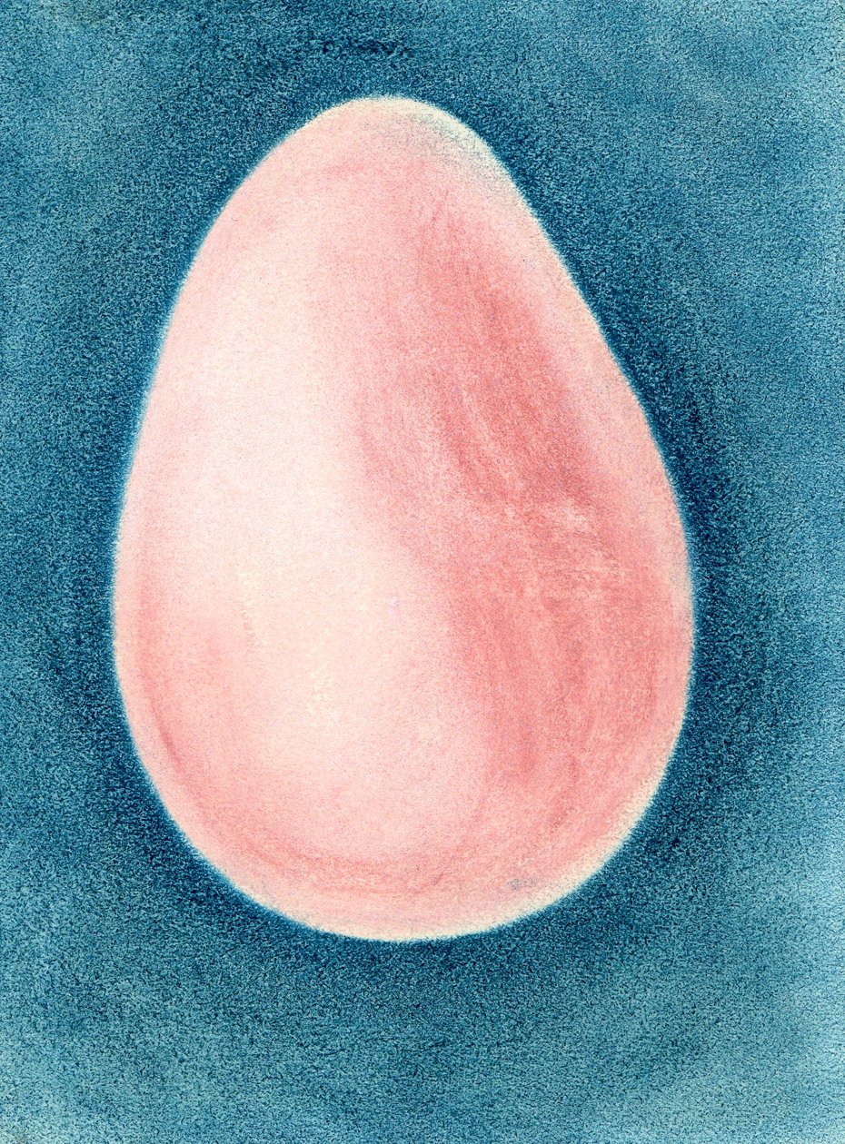Œuf rose - Martina Konitzky