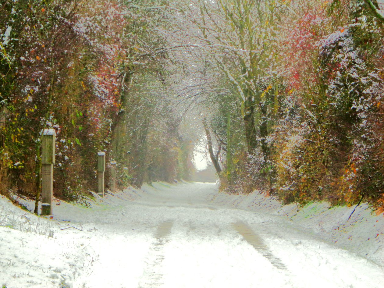 Chemin de campagne - Martina Konitzky