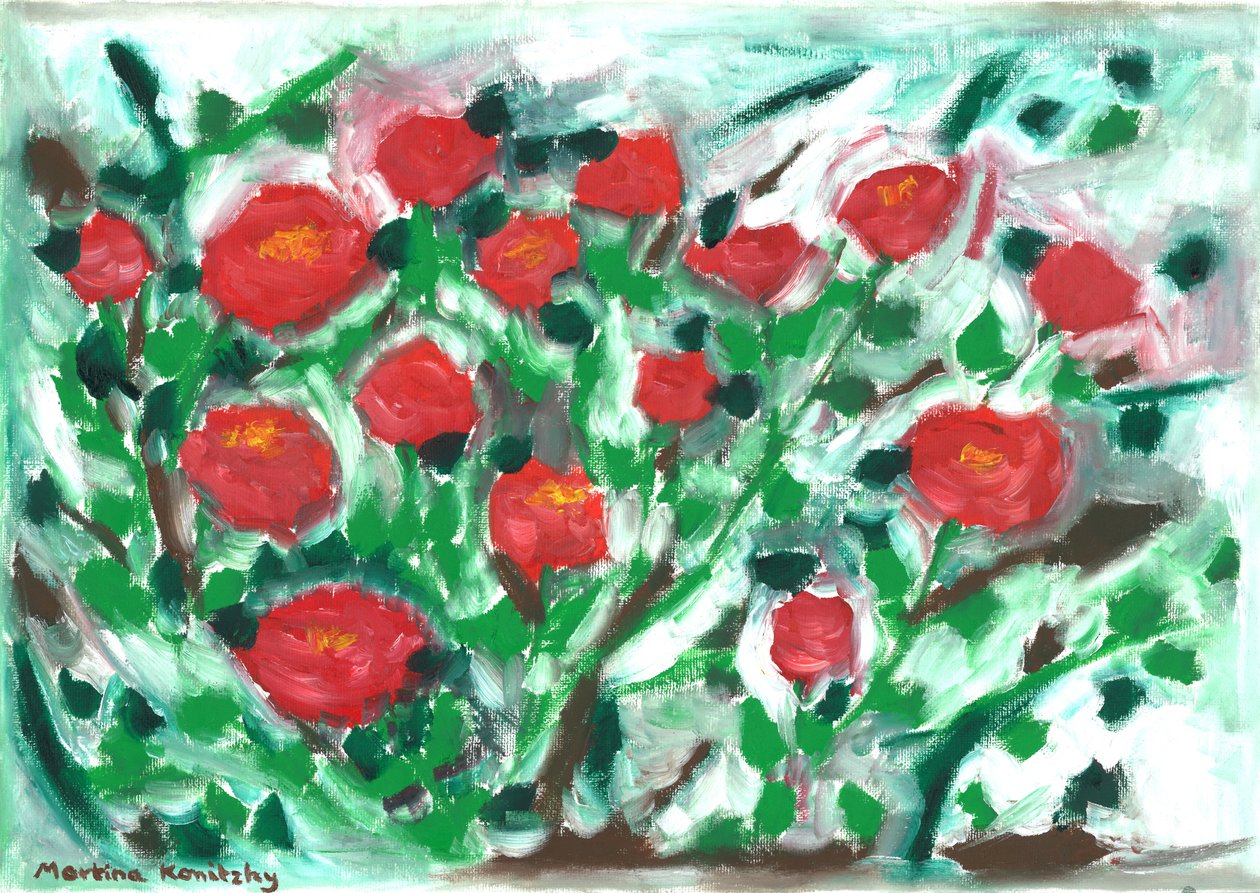 Rosier rouge - Martina Konitzky