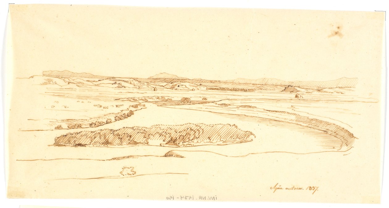 Aqua acetosa - Martinus Rørbye