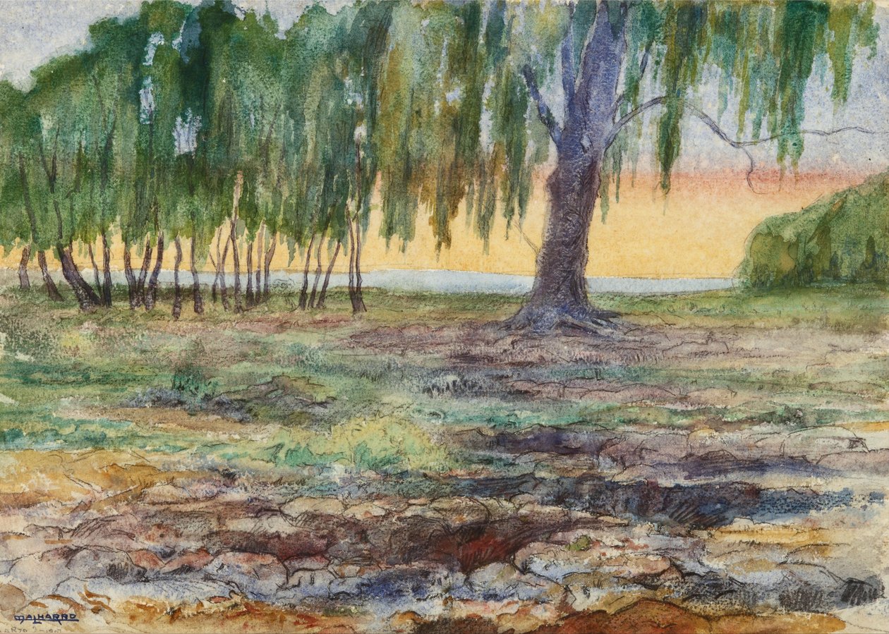 Paysage - Martín Malharro