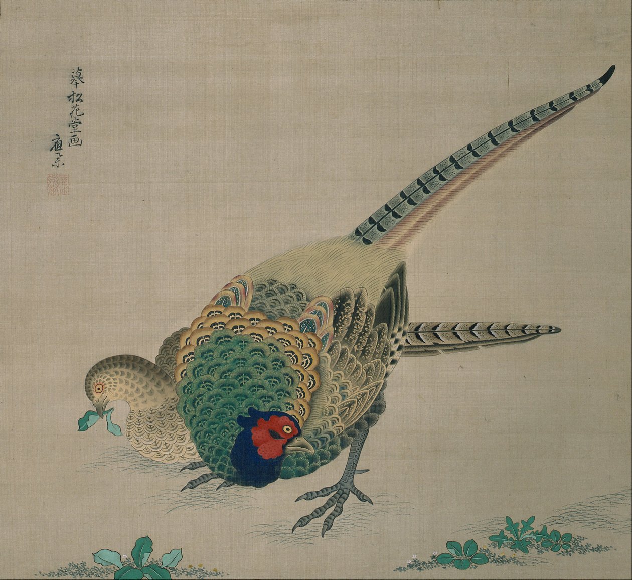 Parchemin suspendu (paire de faisans) - Maruyama Okyo
