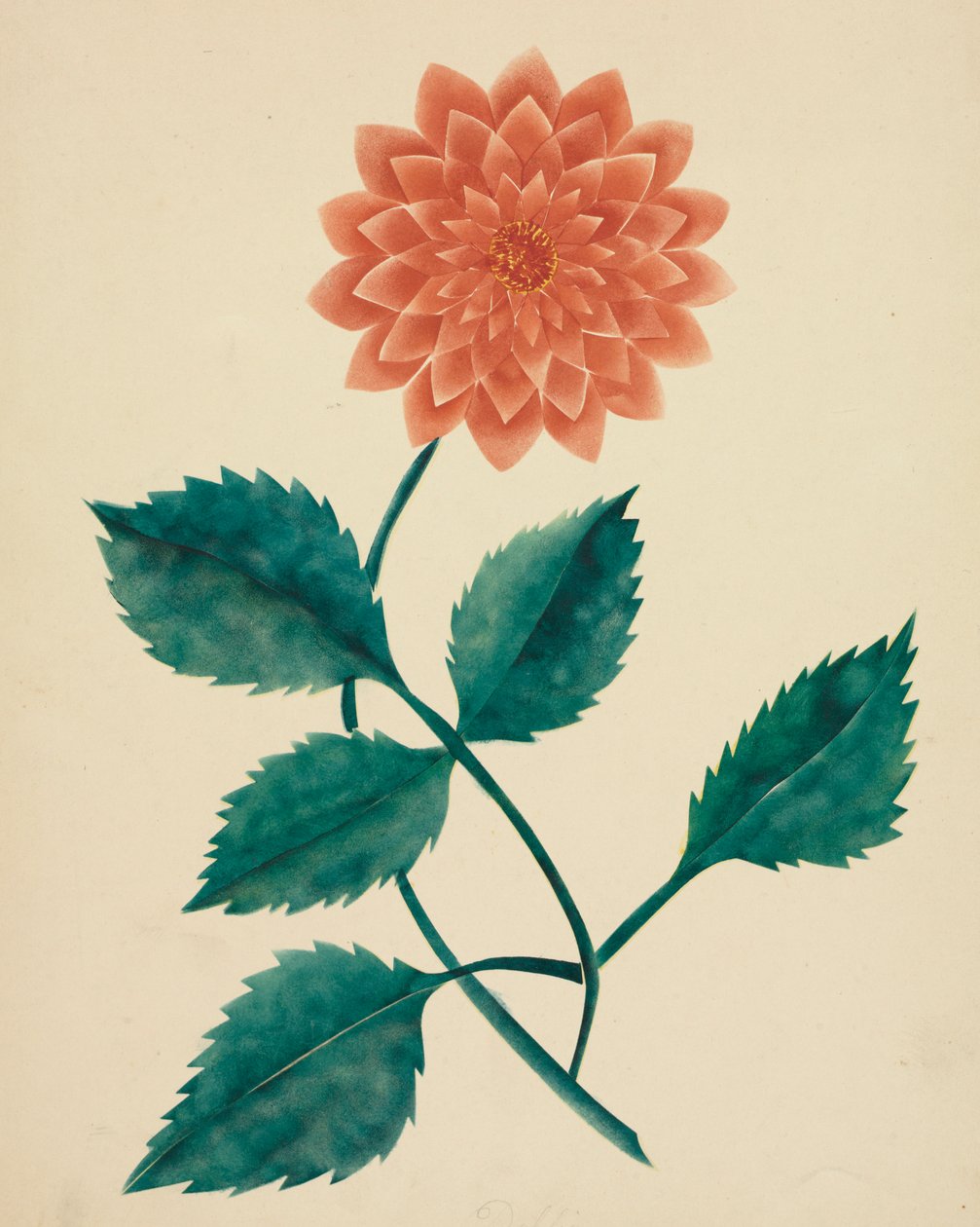 Dahlia - Mary Altha Nims