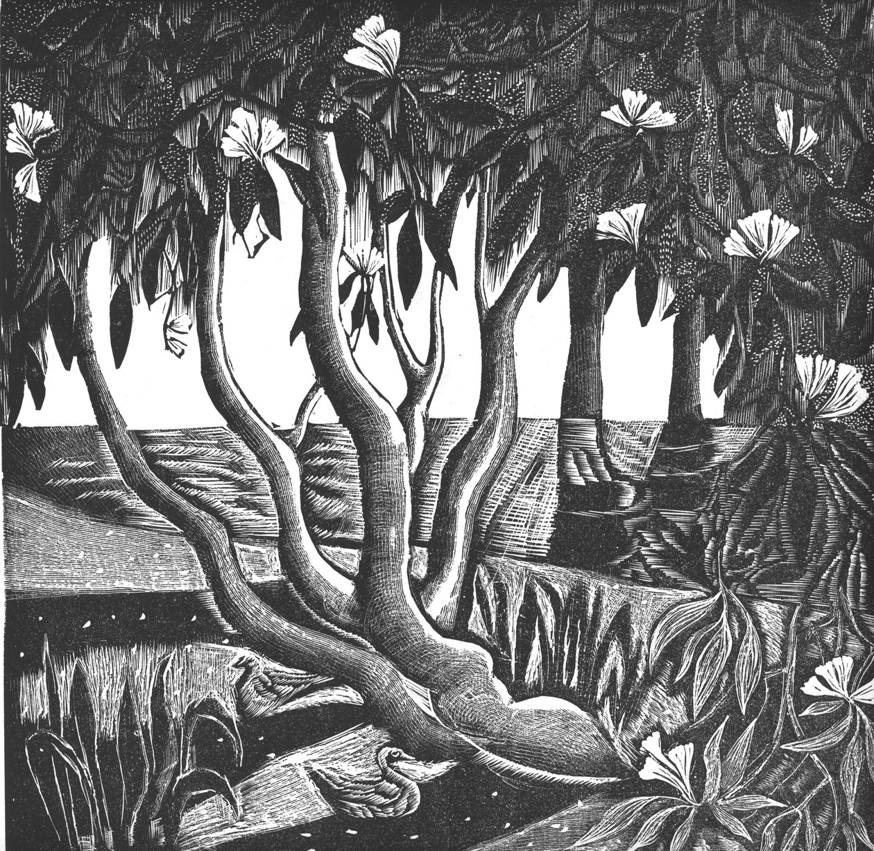 Rhododendrons, Holland Park, 2006 - Mary Kuper