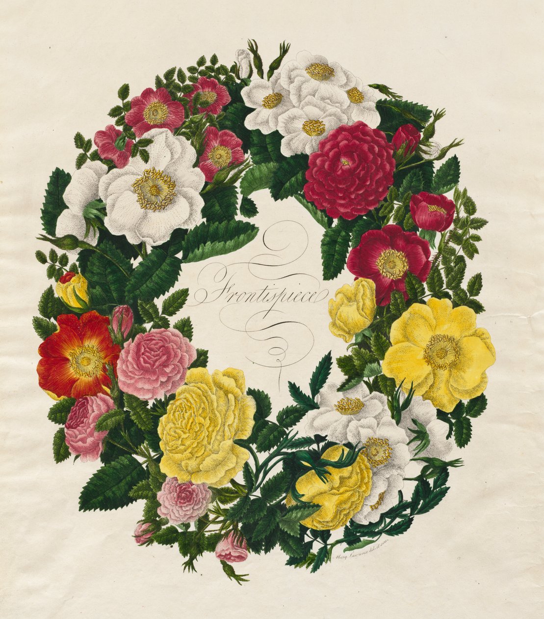 Une couronne de roses - Mary Lawrence