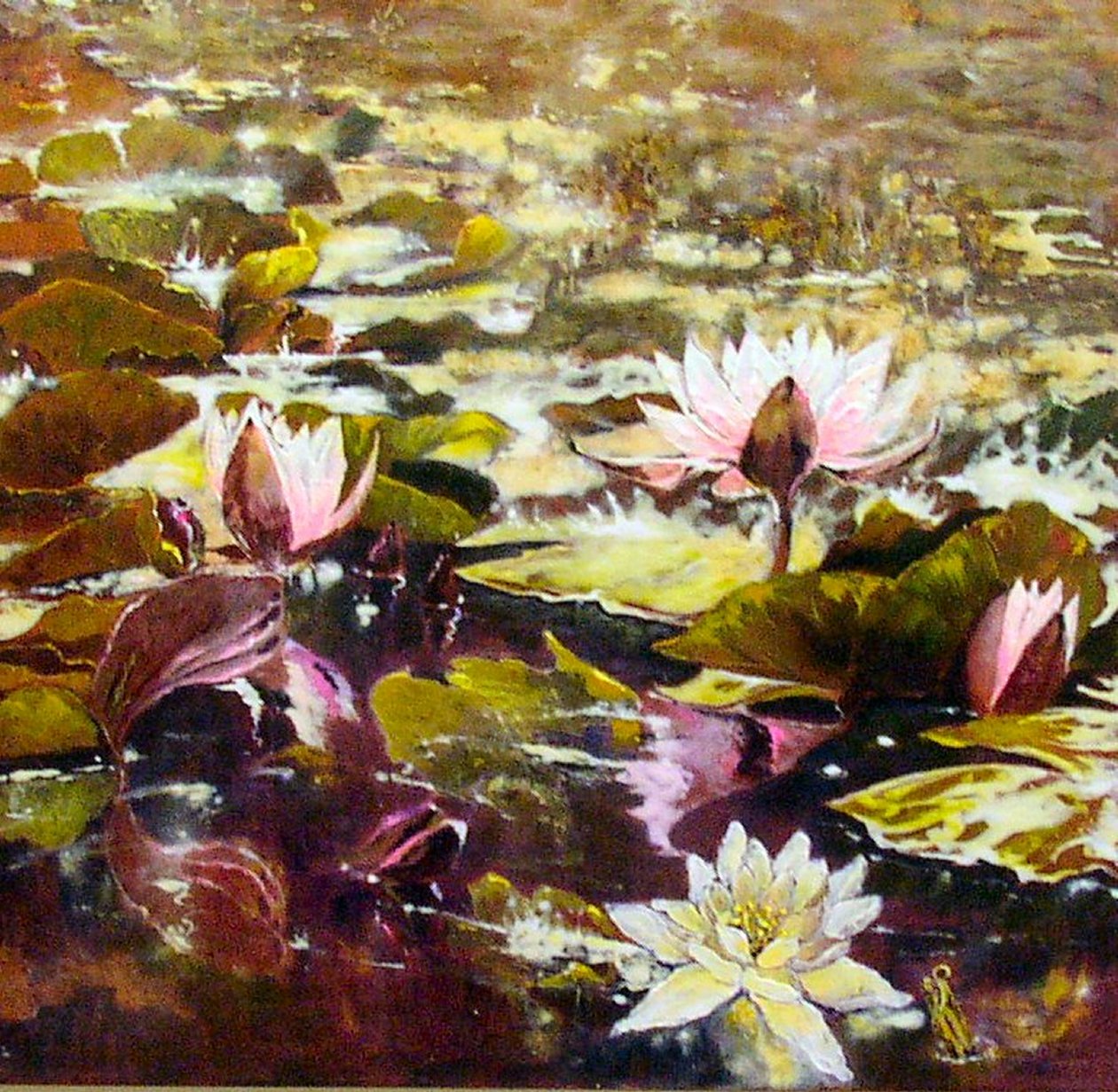 Lys dans les jardins de Melbourne - Mary Smith