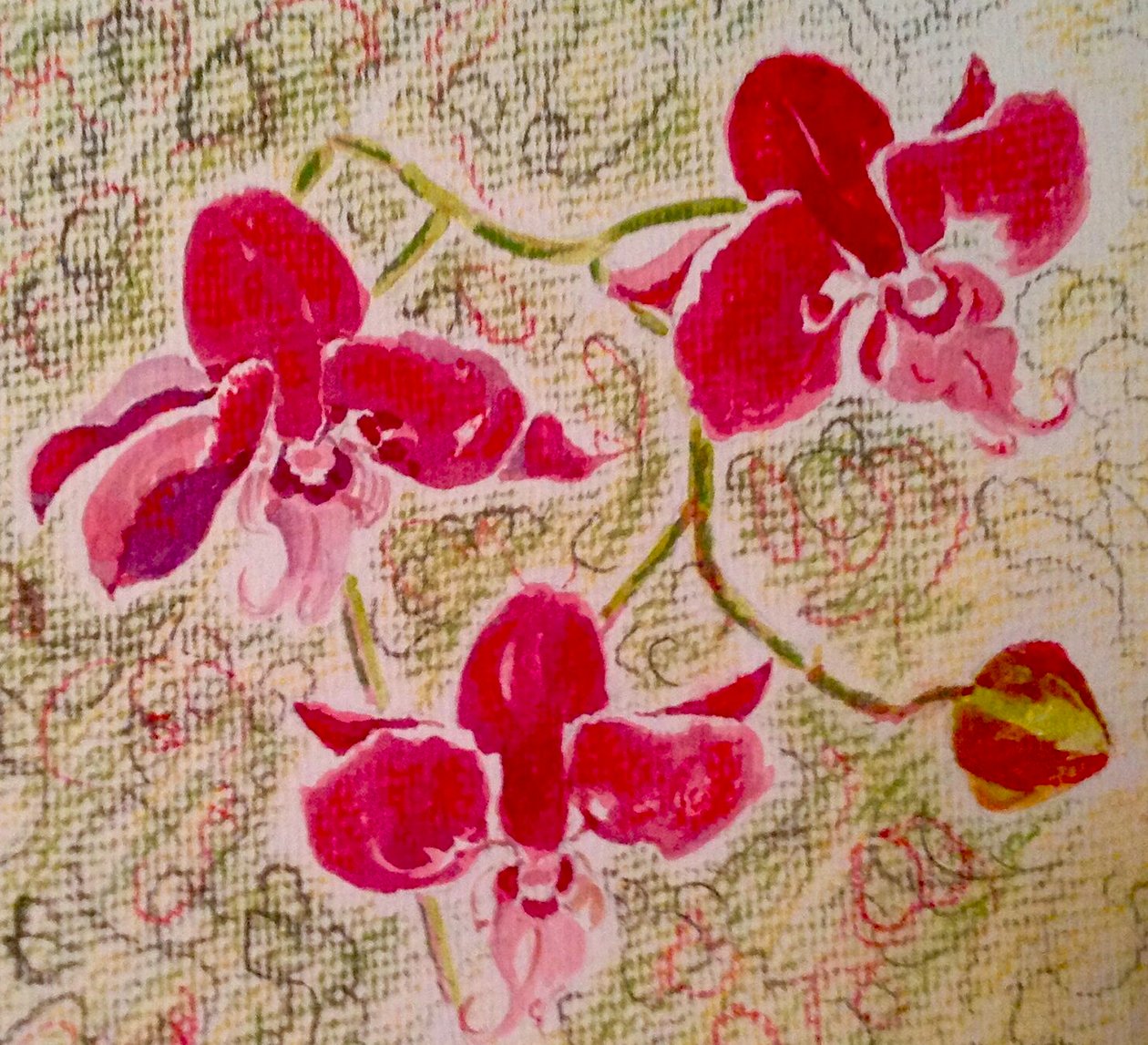 Orchidées - Mary Smith