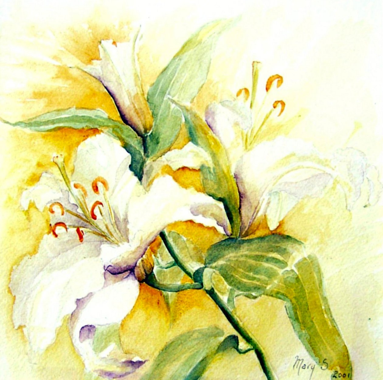 lys blancs - Mary Smith