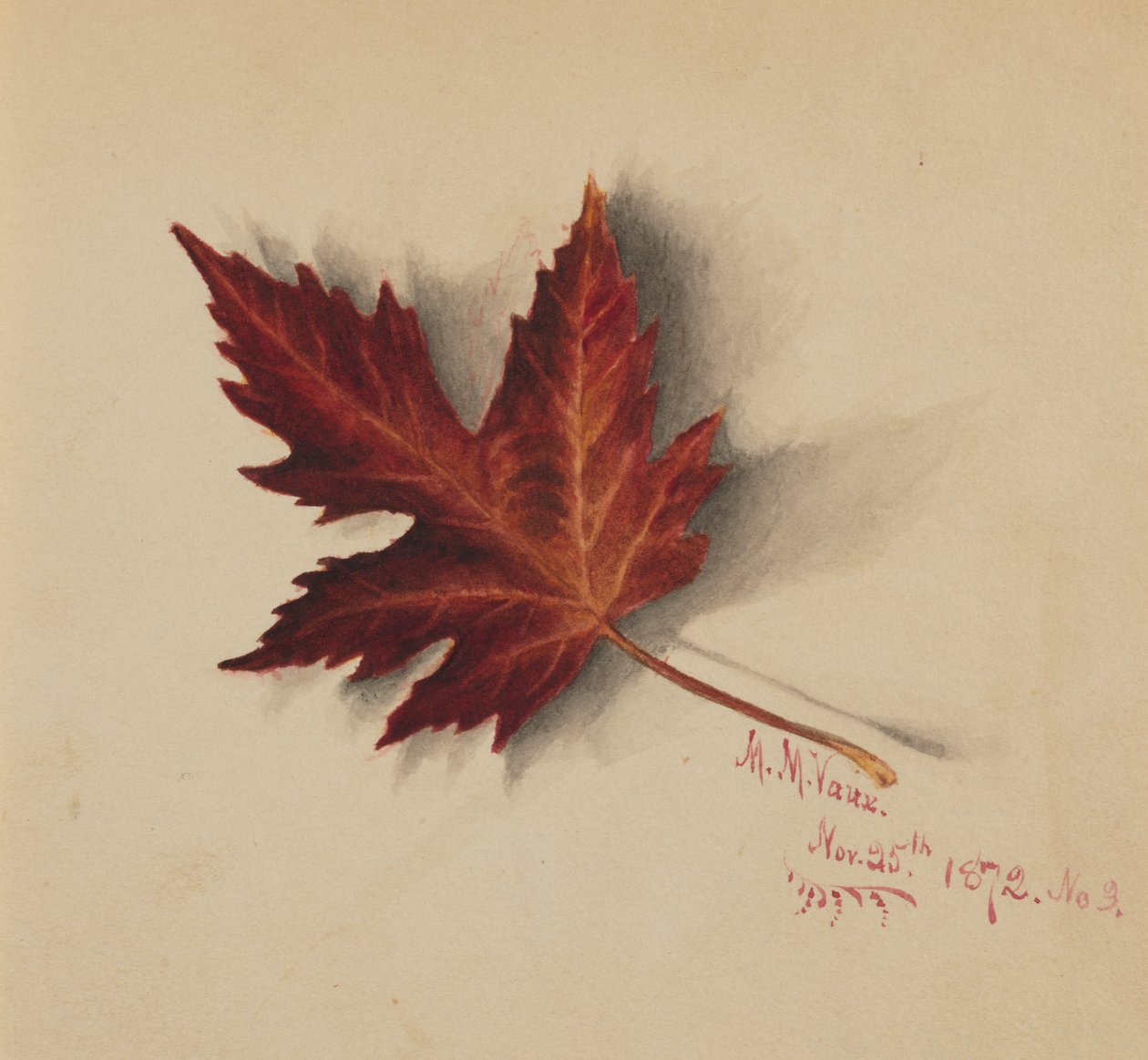 Sans titre (feuille d