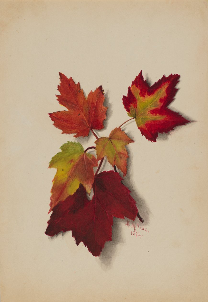 Sans titre (Feuilles d