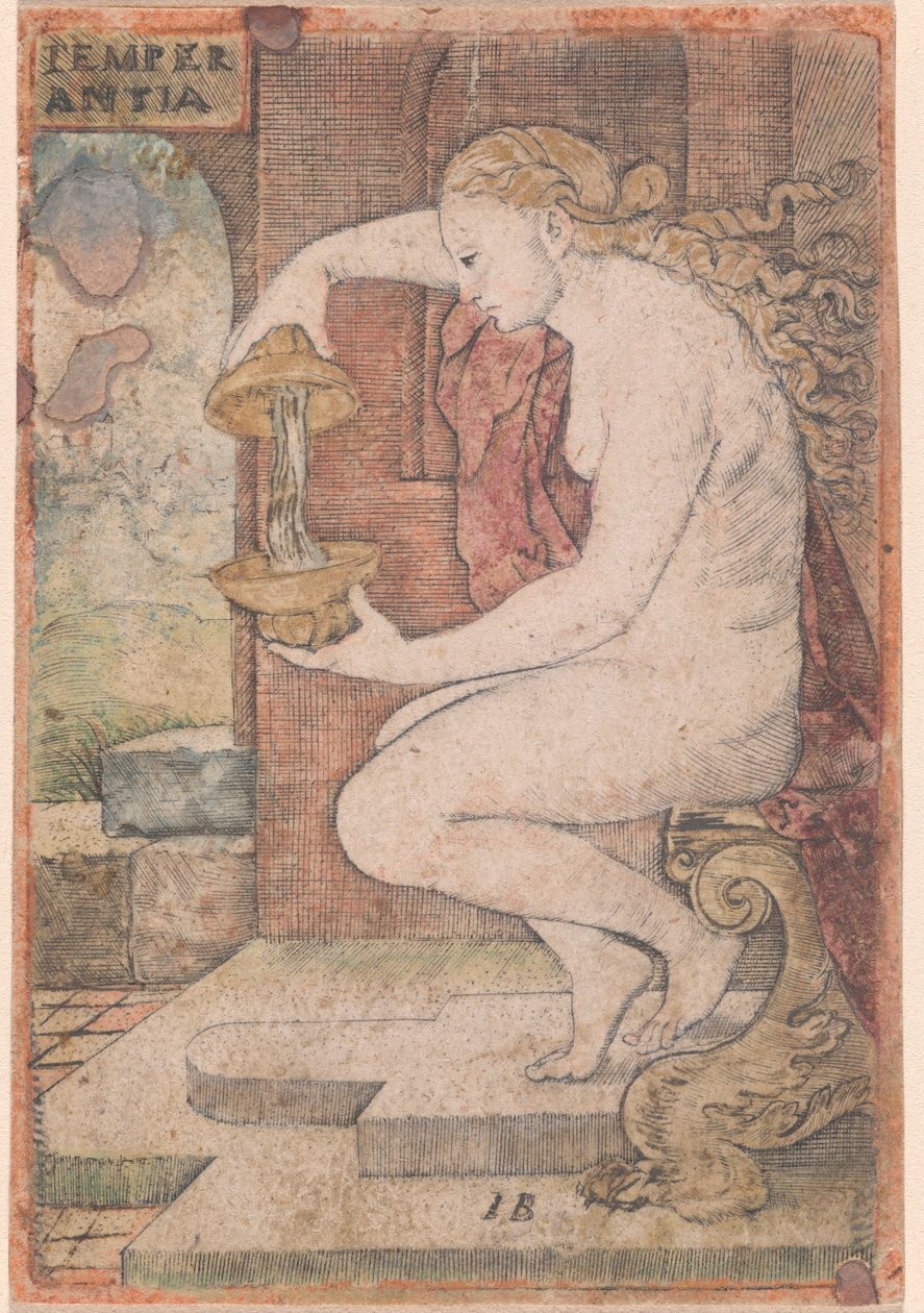 Tempérance - Master IB