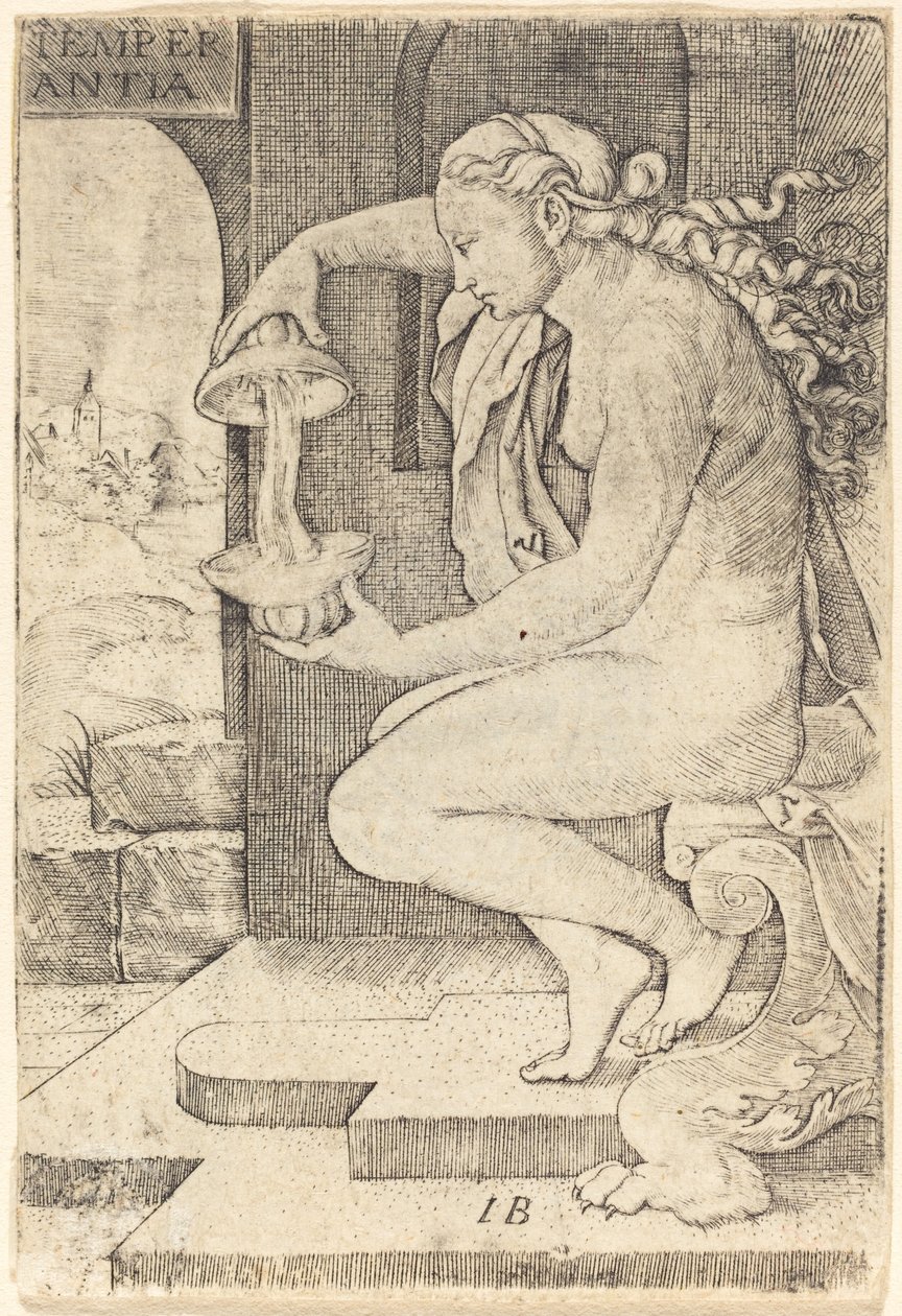 Tempérance - Master IB