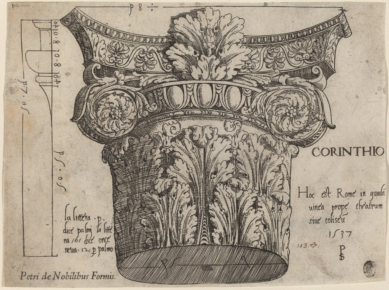Chapiteau du Colisée, Rome - Master PS