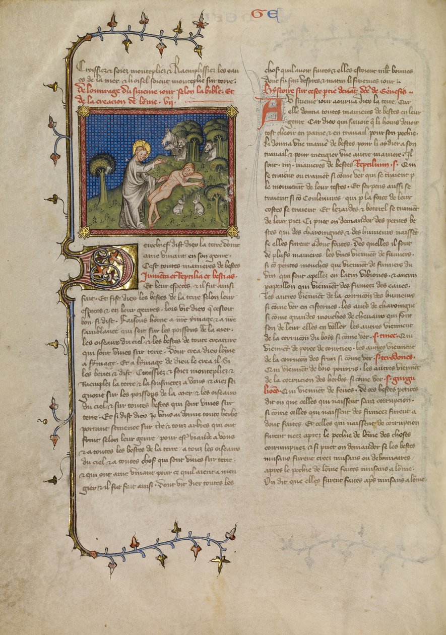 La création d