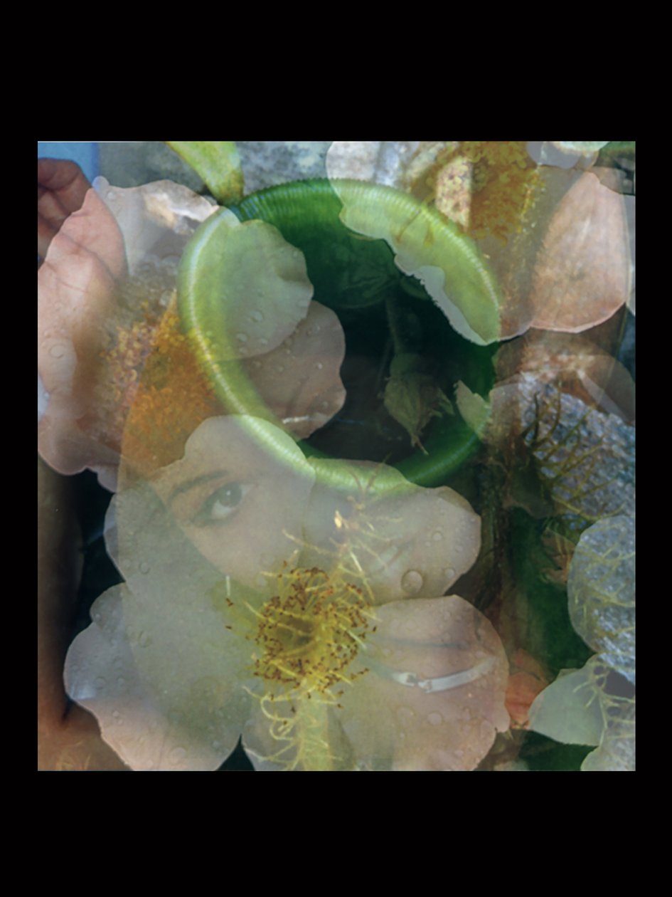 Flesheaters 2 - Mat Collishaw